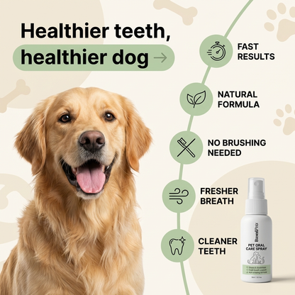 Based Dental Spray